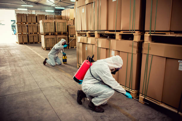 Best Emergency Pest Control  in Acres Green, CO
