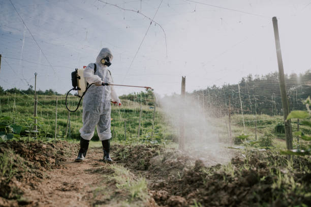 Best Best Pest Control Companies  in Acres Green, CO