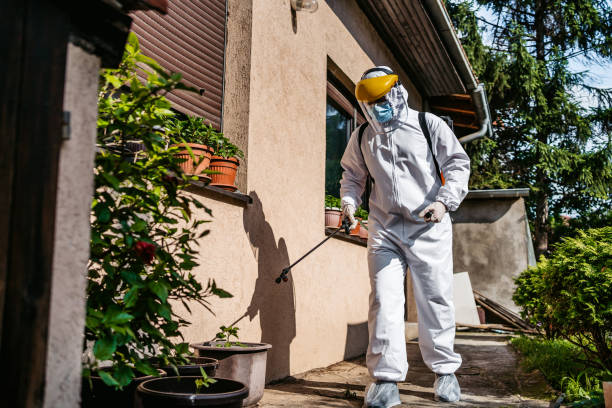 Best Pest Removal Services  in Acres Green, CO
