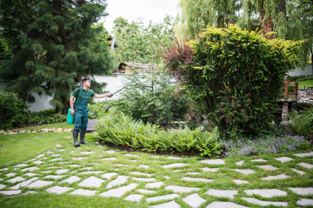 Best Pest Inspection Near Me  in Acres Green, CO
