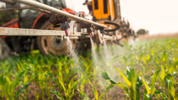 Professional Pest Control in Acres Green, CO
