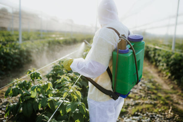 Best Local Pest Control Services  in Acres Green, CO